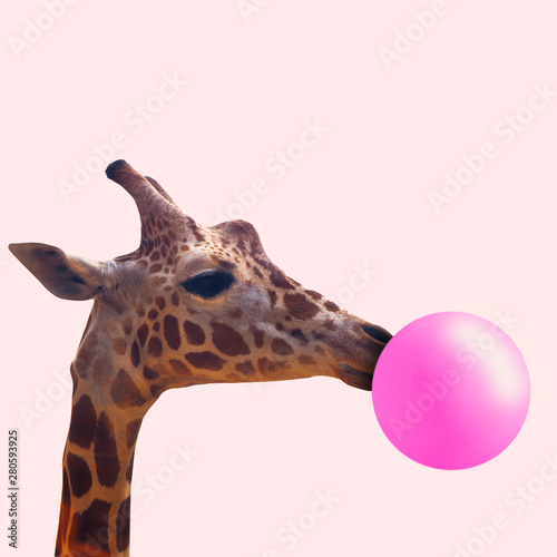 Creative giraffe. Look of youth. Animal with the pink bubblegum on coral background. Negative space to insert your text. Modern design. Contemporary art. Creative conceptual and colorful collage.