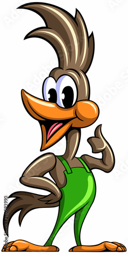 Cartoon style roadrunner, funny, cute bird, vector cartoon character. photo