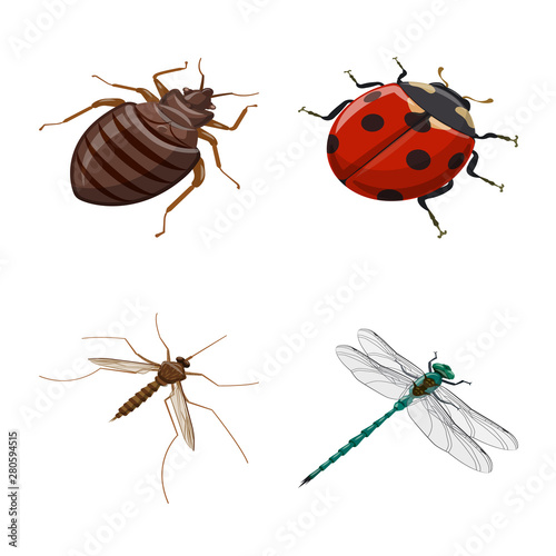 Isolated object of insect and fly sign. Collection of insect and entomology stock symbol for web. © Svitlana