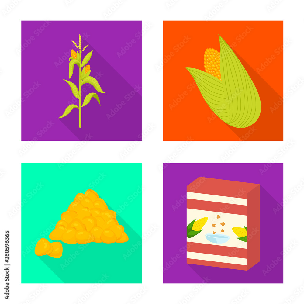 Vector illustration of cornfield and vegetable logo. Set of cornfield and vegetarian stock vector illustration.