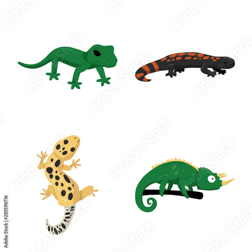 Fototapeta Naklejka Na Ścianę i Meble -  Vector illustration of animal and reptile symbol. Set of animal and nature stock symbol for web.
