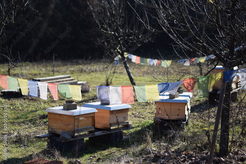 Bienenstöcke im Garten