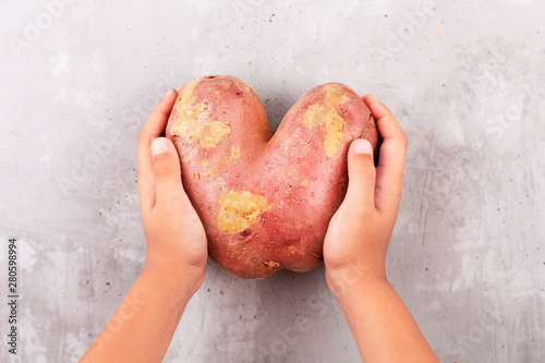 Hands hold ugly potato in the heart shape on a gray background. Funny, unnormal vegetable or food waste concept