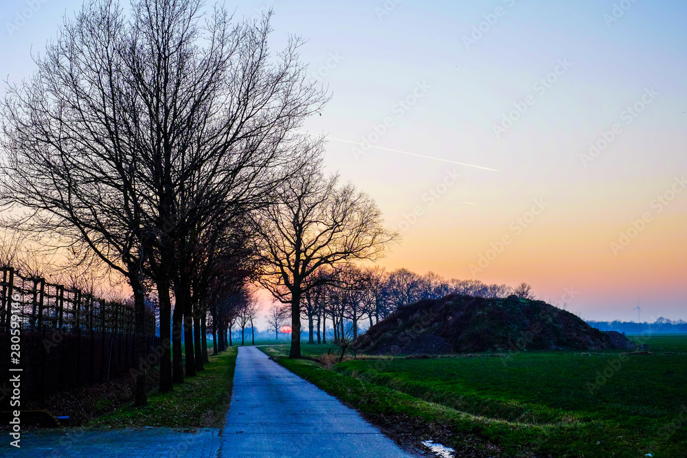 Country Road between the bare trees and farmfields against the Autumn sunset background 