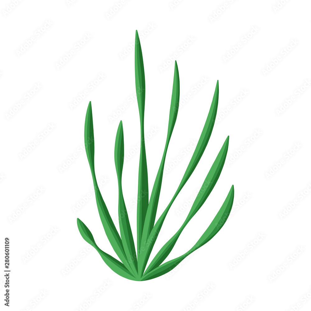 Vector illustration of seaweed and algae symbol. Set of seaweed and undersea stock vector illustration. Vector illustration of seaweed and algae symbol. Set of seaweed and undersea stock vector illustration.