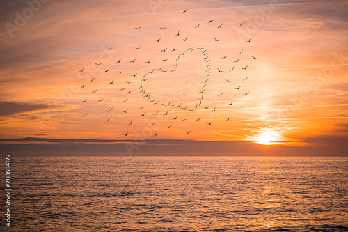 Photography beautiful sunset on the sea and the heart in the sun from the silhouettes of bir