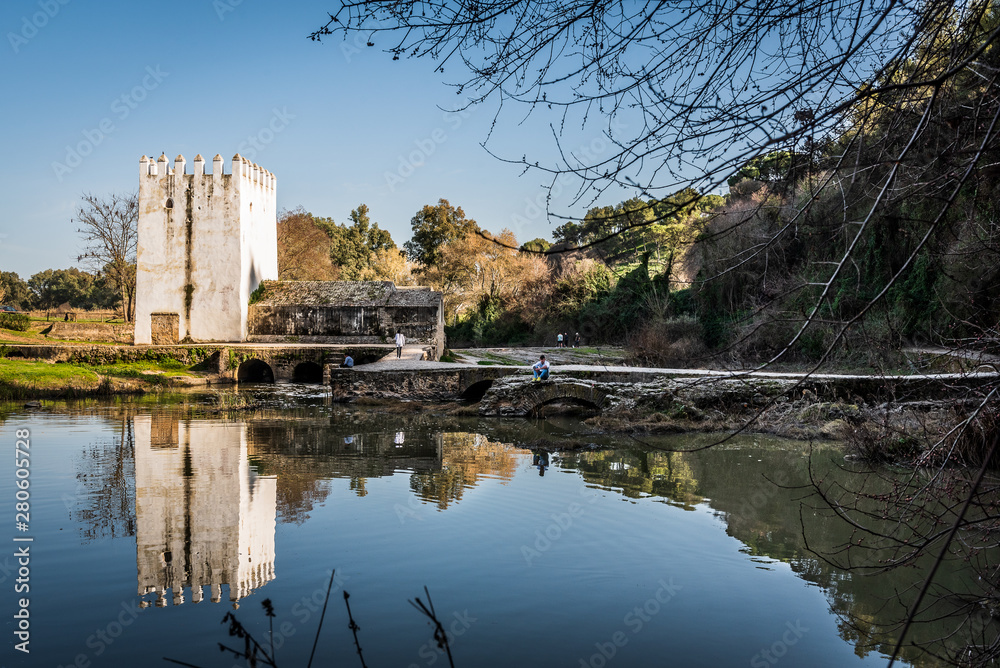 Fototapeta premium Antiguos molinos sobre el rio Guadaira (Alcala de Guadaira, Sevilla)
