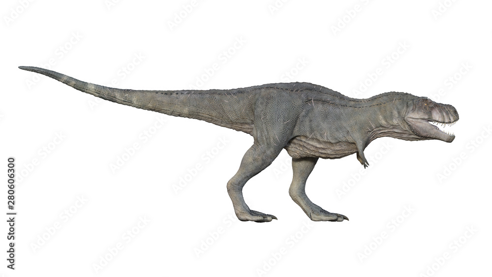 Fototapeta premium Renderowanie 3D Tyrannosaurus rex na białym tle