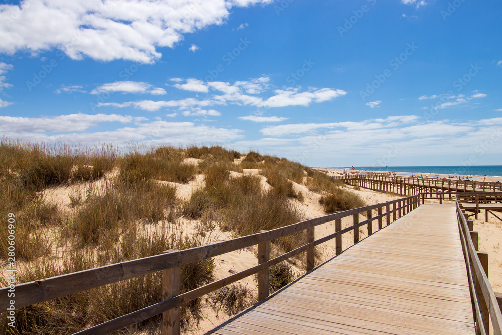 Footbridge in the dunes