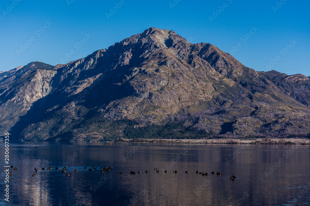 Flock of ducks swimming at Epuyen lake against Andes mountains in Puerto Patriada, Patagonia, Argentina