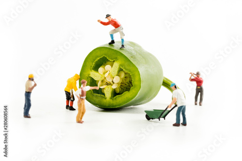 People Working with Food, Miniature people harvesting a Pepper/Jalapeno, construction site