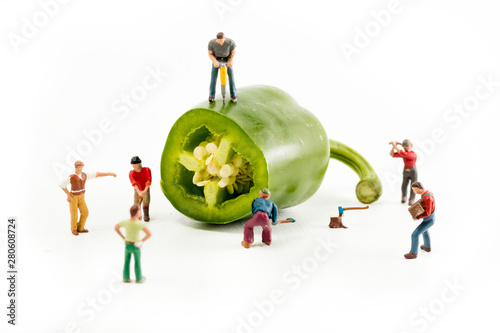 People Working with Food, Miniature people harvesting a Pepper/Jalapeno, construction site