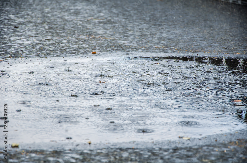 texture background circles from raindrops on puddle texture background circles from raindrops on puddle