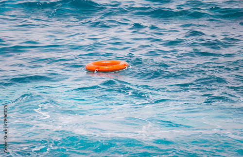 Orange lifebuoy ring sea life 