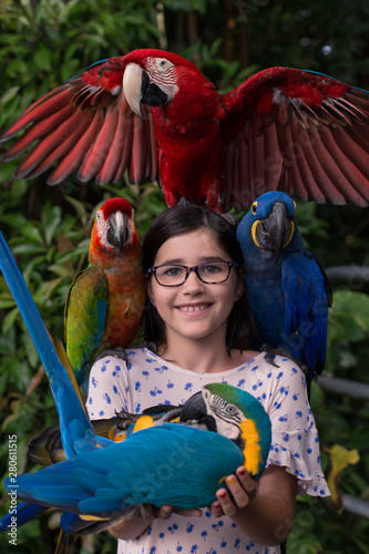 Tropical Birds in Maui, Hawaii photo