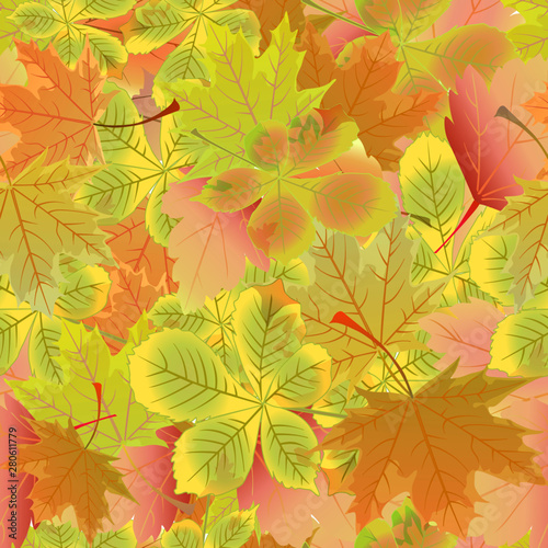 leaves large pattern color vector illustration background autumn wallpaper