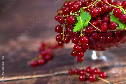 Macro photo of ripe red currants in a glass vase. Several branches hang from the vase