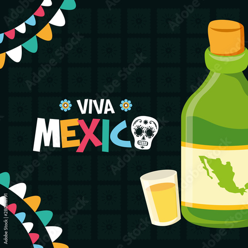 bottle tequila and shot celebration viva mexico
