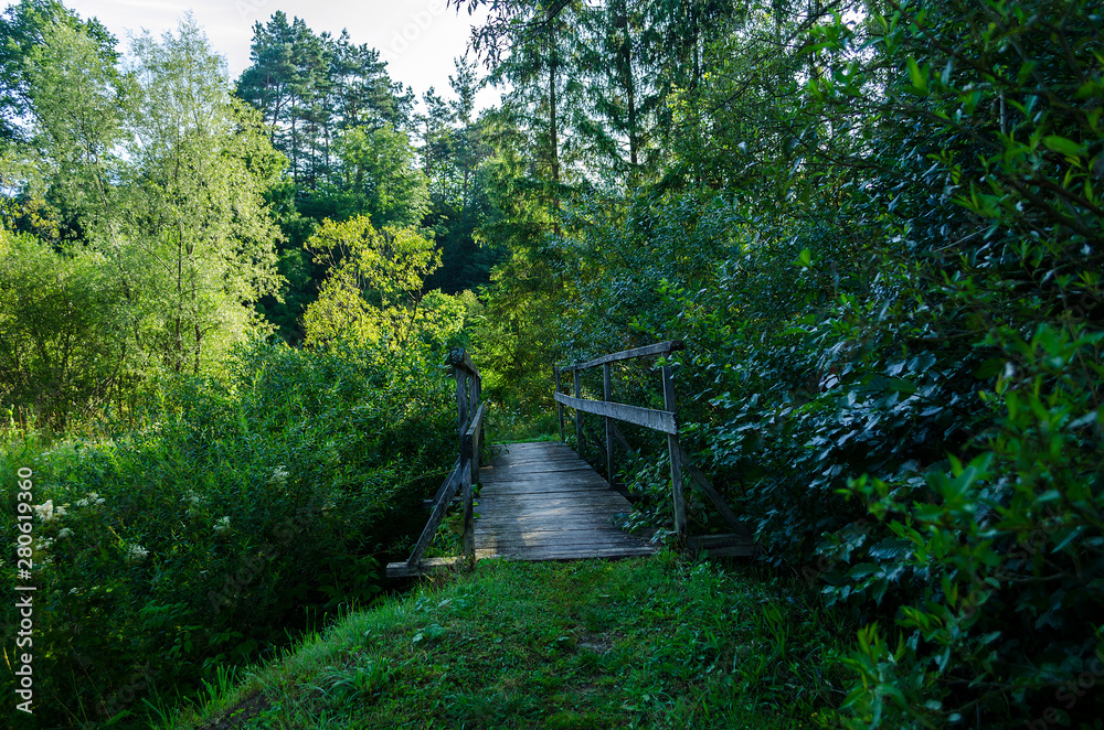 Obraz premium kładka 