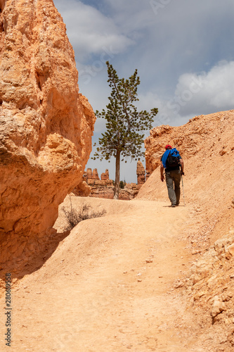 hiker in bryce canyon in utah usa