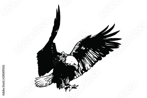 Vector bird. Eagle illustration. Good for logos and posters.