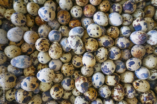 Fresh quail eggs product from bird egg,pattern top view background.