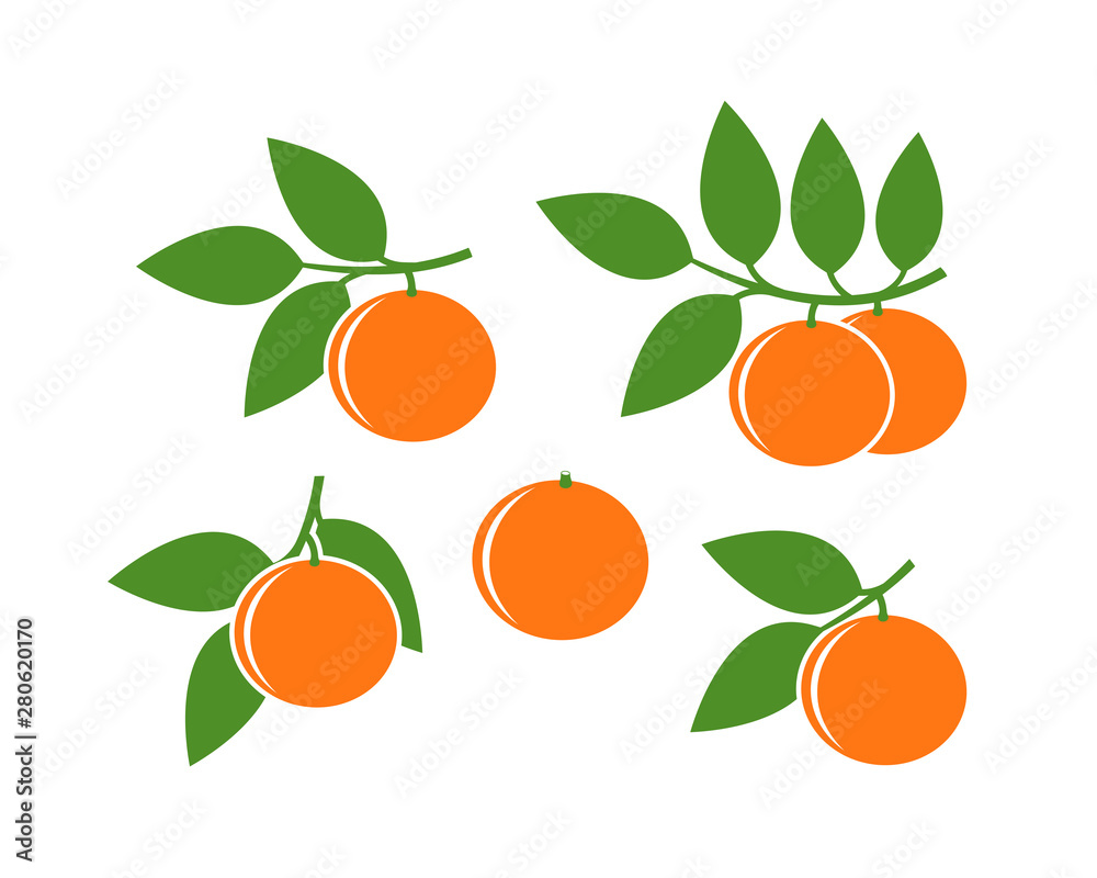 Orange logo. Isolated orange on white background Orange logo. Isolated orange on white background