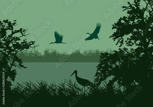 Realistic illustration of wetland landscape with river or lake, water surface and birds. Stork flying under green morning sky, vector