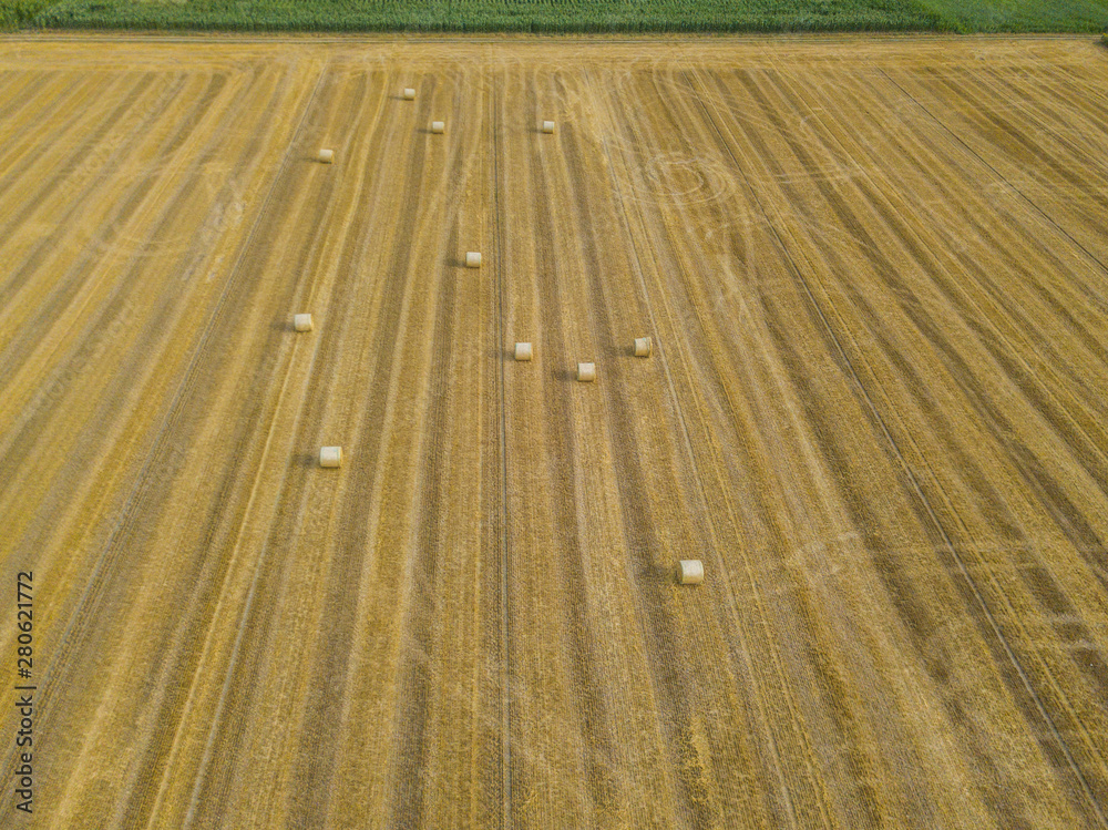 Aerial view of round straw bales of wheat lying on harvested field.