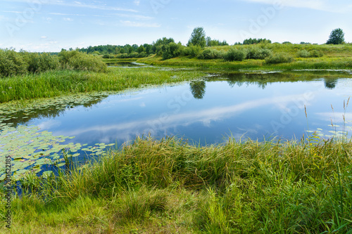 view of the river among the shores covered with forest and shrubs