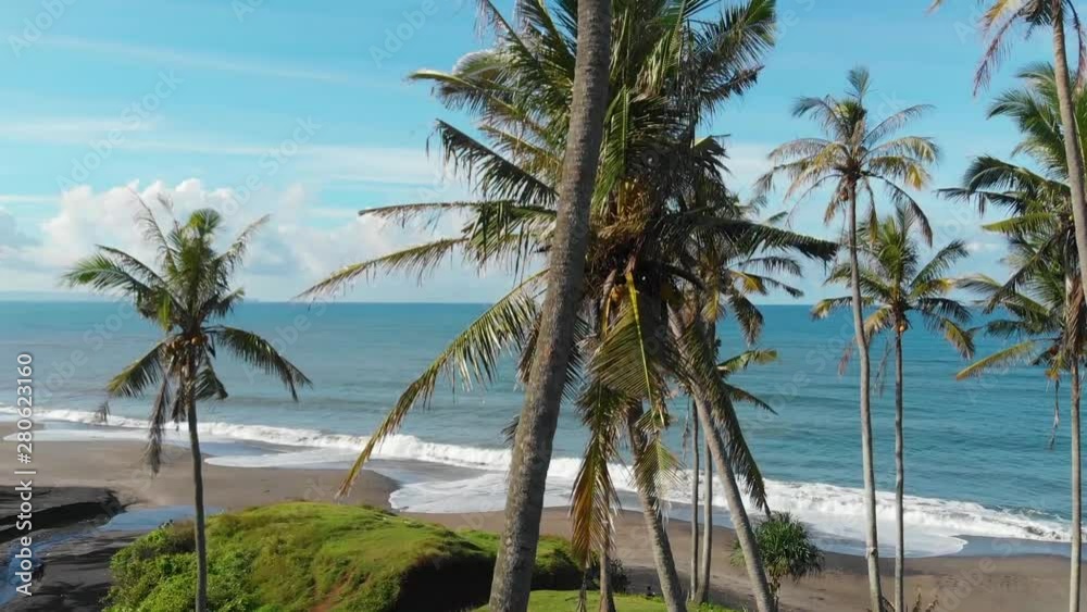 Astonishing view of Bali beach behind the coconut palms. Drone pedestal up background establishing shot Astonishing view of Bali beach behind the coconut palms. Drone pedestal up background establishing shot