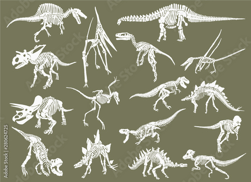 Color set of white dinosaur skeletons isolated on grey background,graphical illustration