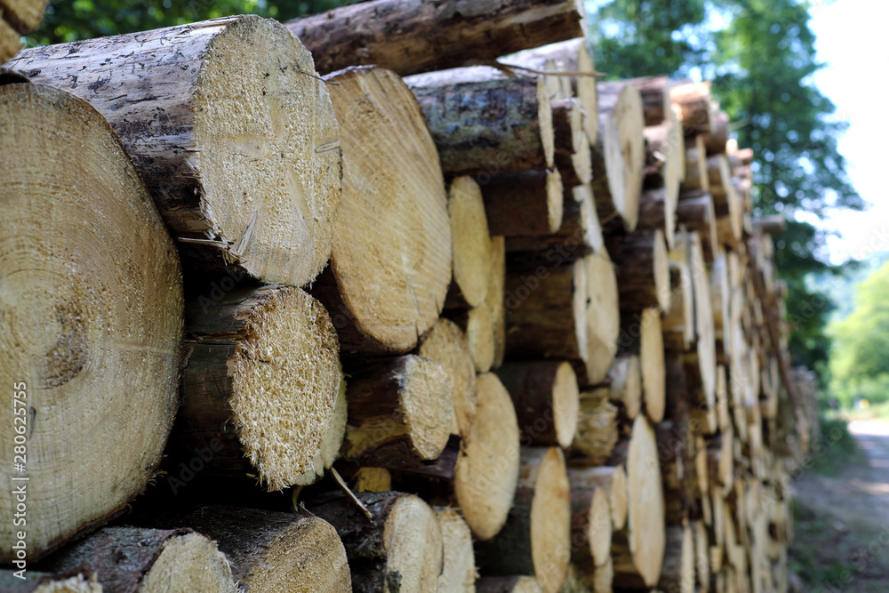 Holzstapel mit Baumstämmen im Wald - Stockfoto Holzstapel mit Baumstämmen im Wald - Stockfoto