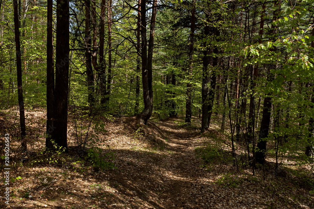 Landscape at Plana mountain region in Bulgaria