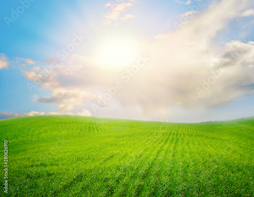 Beautiful green field and sunny sky