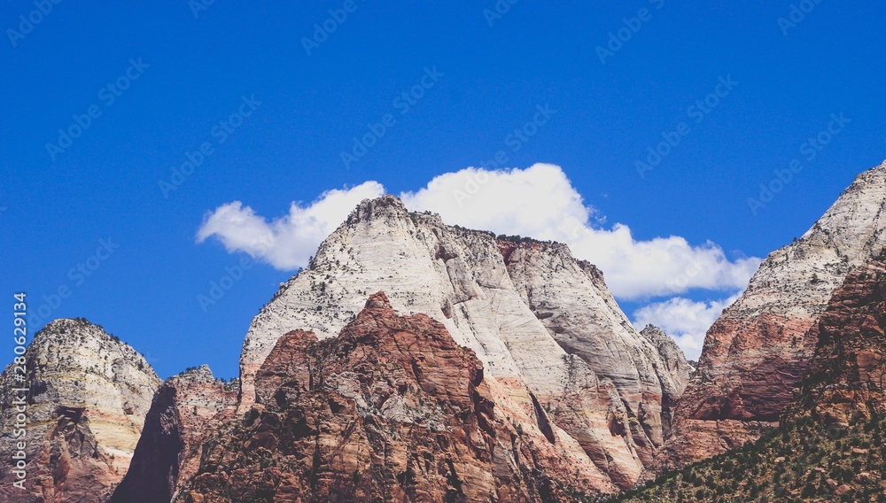 Obraz premium white mountain peaks in zion national park