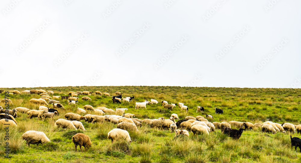 Obraz premium Rural mountain landscape