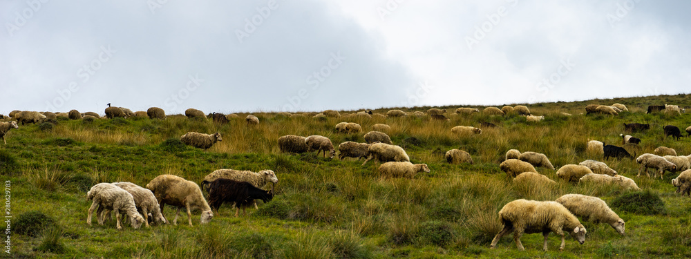 Obraz premium Rural mountain landscape