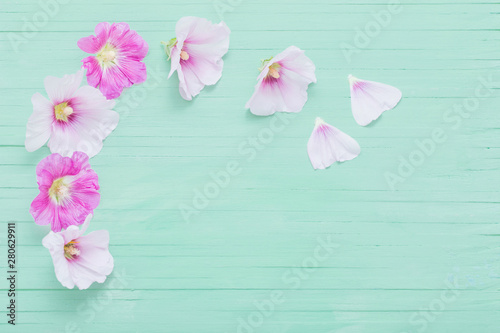 mallow flowers on green wooden background