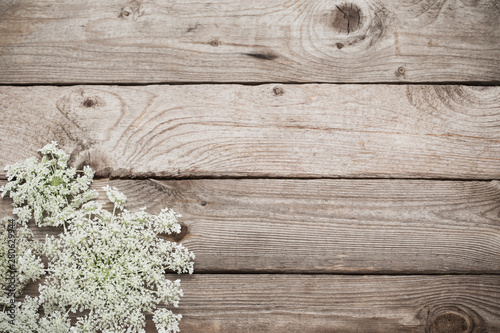 white wildflowers on old wooden background