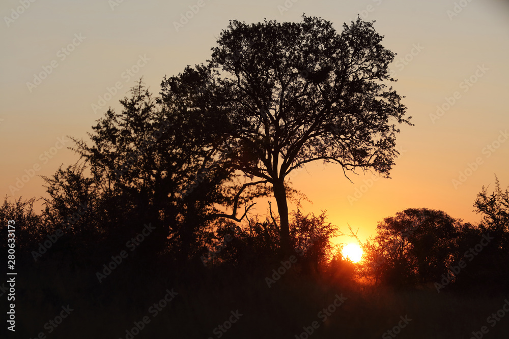 Sonnenuntergang Krüger Park Südafrika / Sundown Kruger Park South Africa / Sonnenuntergang Krüger Park Südafrika / Sundown Kruger Park South Africa /