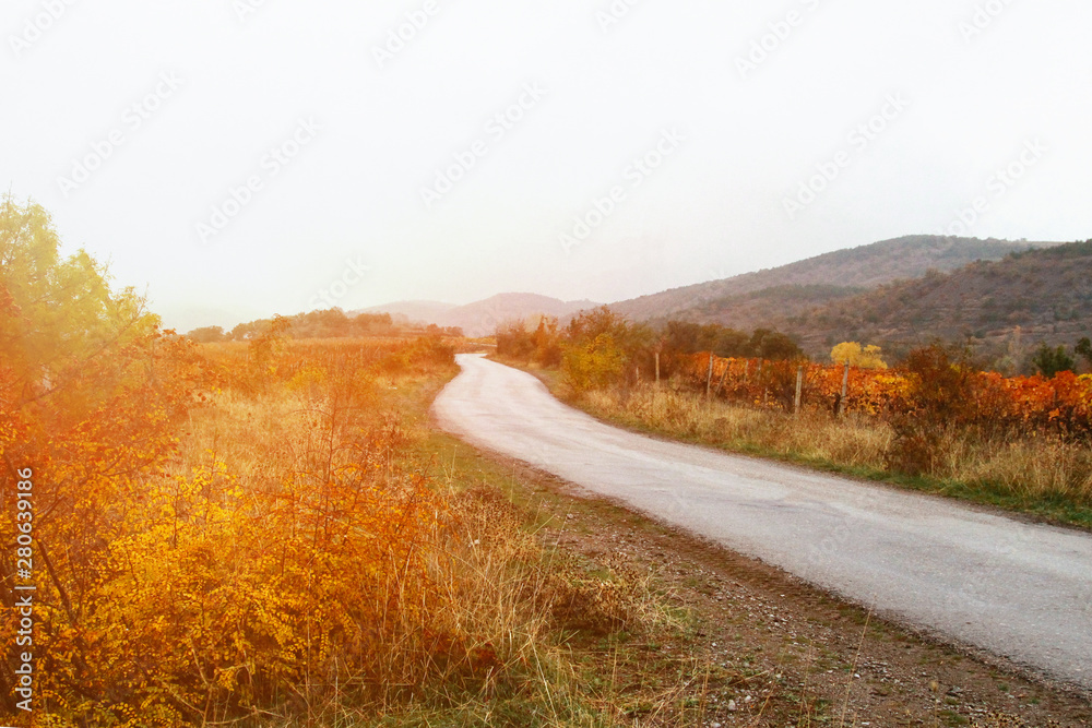 The road goes into the distance. Autumn road through vineyards and villages. Koktebel. Crimea.