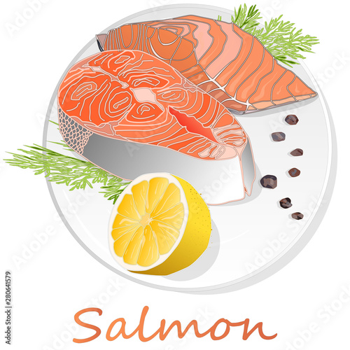 Raw salmon fillets with herbs on the plate. White background. Vector illustration