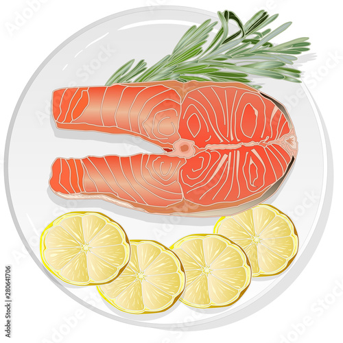 Raw salmon fillets with herbs on the plate. White background. Vector illustration