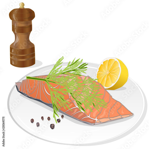 Raw salmon fillets with herbs on the plate. White background. Vector illustration