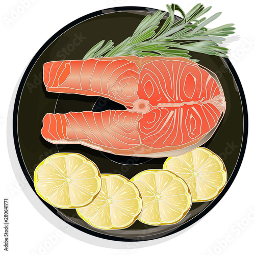 Raw salmon fillets with herbs on the plate. White background. Vector illustration