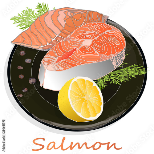 Raw salmon fillets with herbs on the plate. White background. Vector illustration