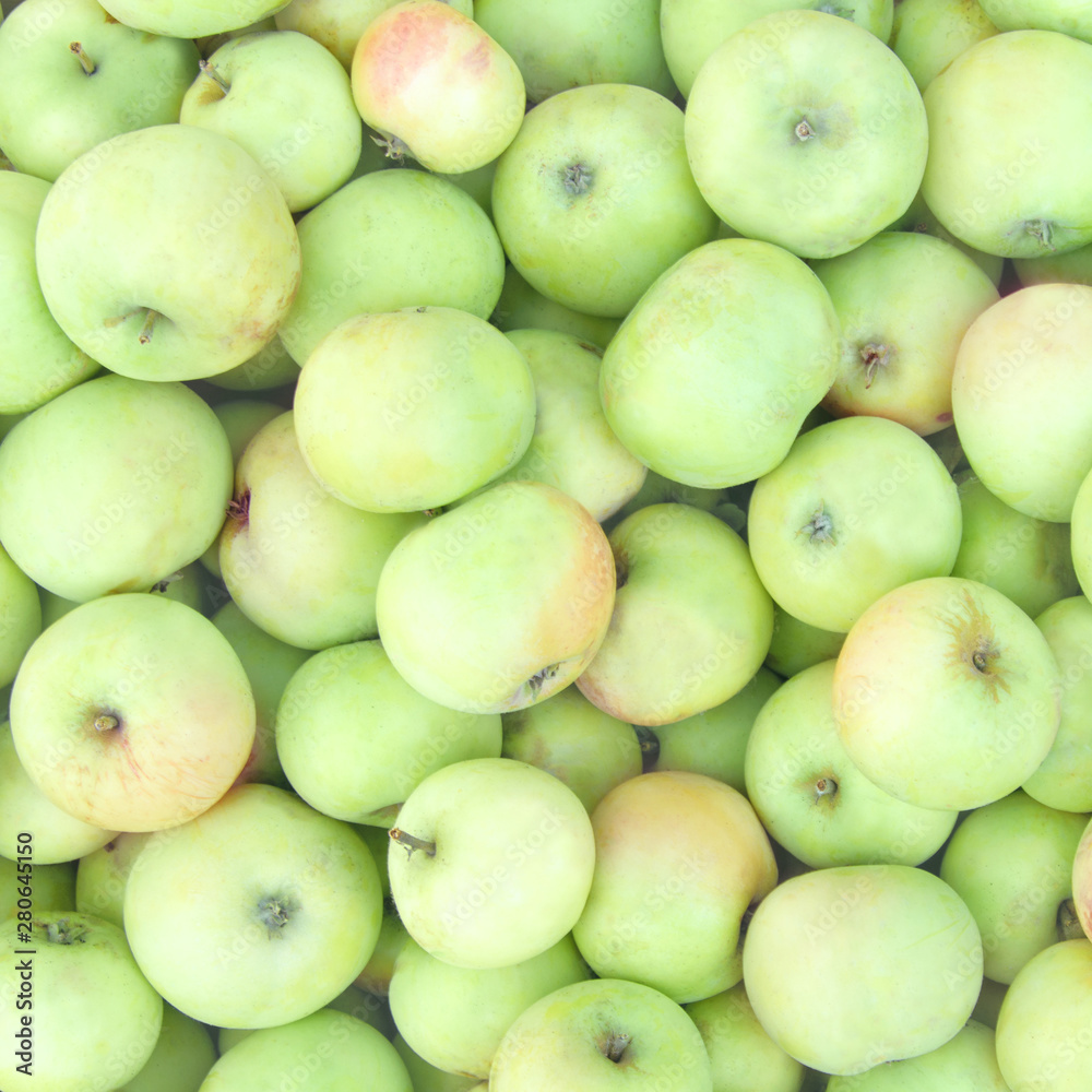 Ripe juicy garden apples close up. Apple background Ripe juicy garden apples close up. Apple background