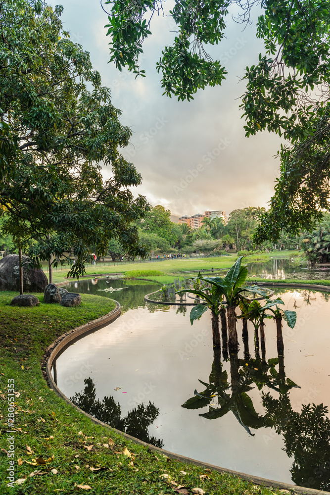 Parque del Este at the afternoon. Caracas - Venezuela