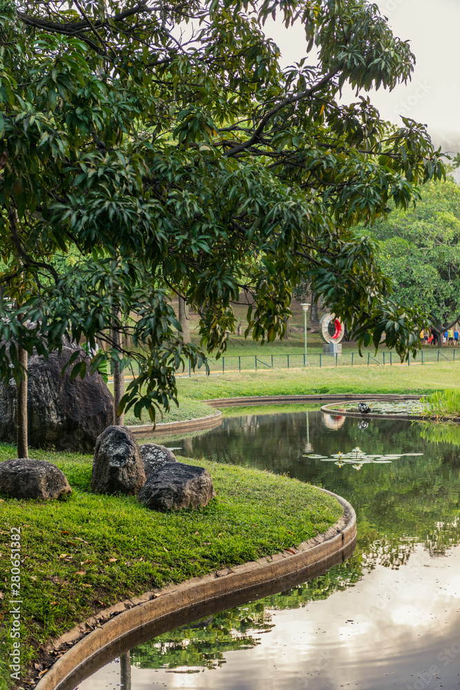 Fototapeta premium Parque del Este at the afternoon. Caracas - Venezuela
